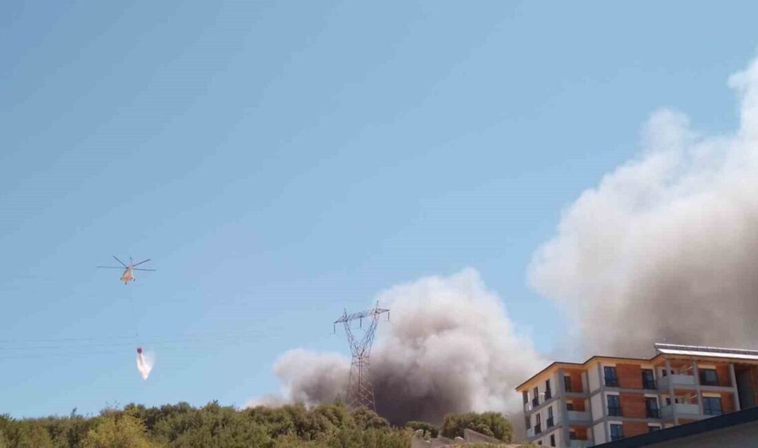 Kahramanmaraş Orman Bölge Müdürlüğü’nün inşaat alanındaki binasının çatısında yangın çıktı.