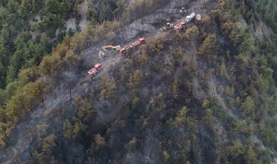 Karabük’te 2 saatte kontrol altına alınan orman yangınında zarar gören