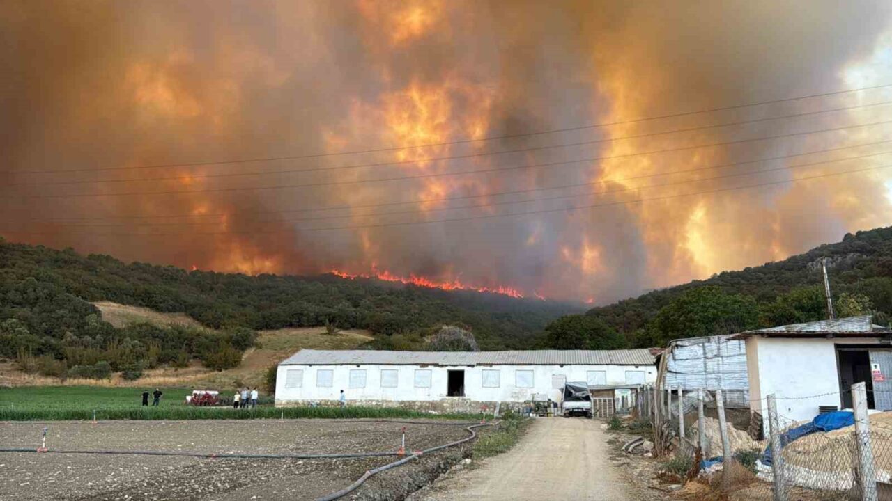 Bursa’nın Yenişehir ilçesinde alevler, rüzgarın da etkisiyle büyümeye devam ediyor.