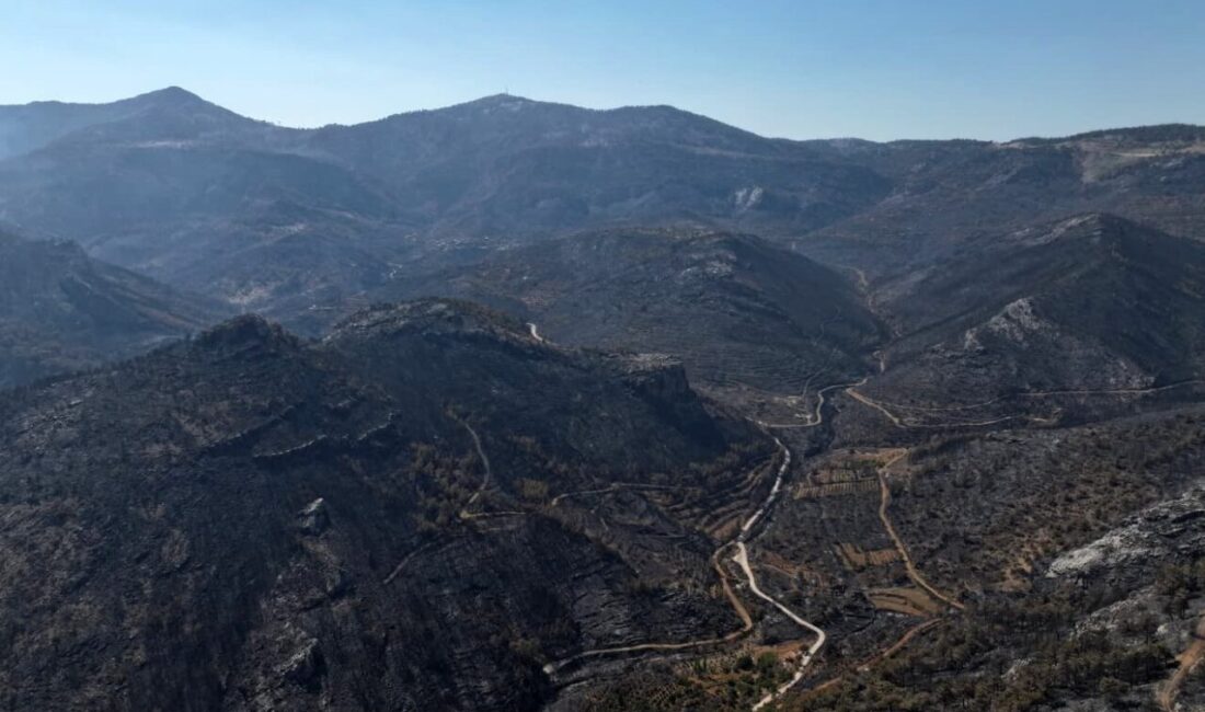 Mersin’in Silifke ilçesinde 3 gün boyunca havadan ve karadan binden