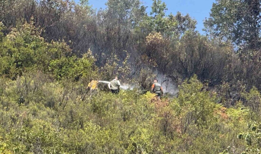 ZONGULDAK (İHA) – Zonguldak’ın Kardeşler köyünde ormanlık alanda çıkan yangın,