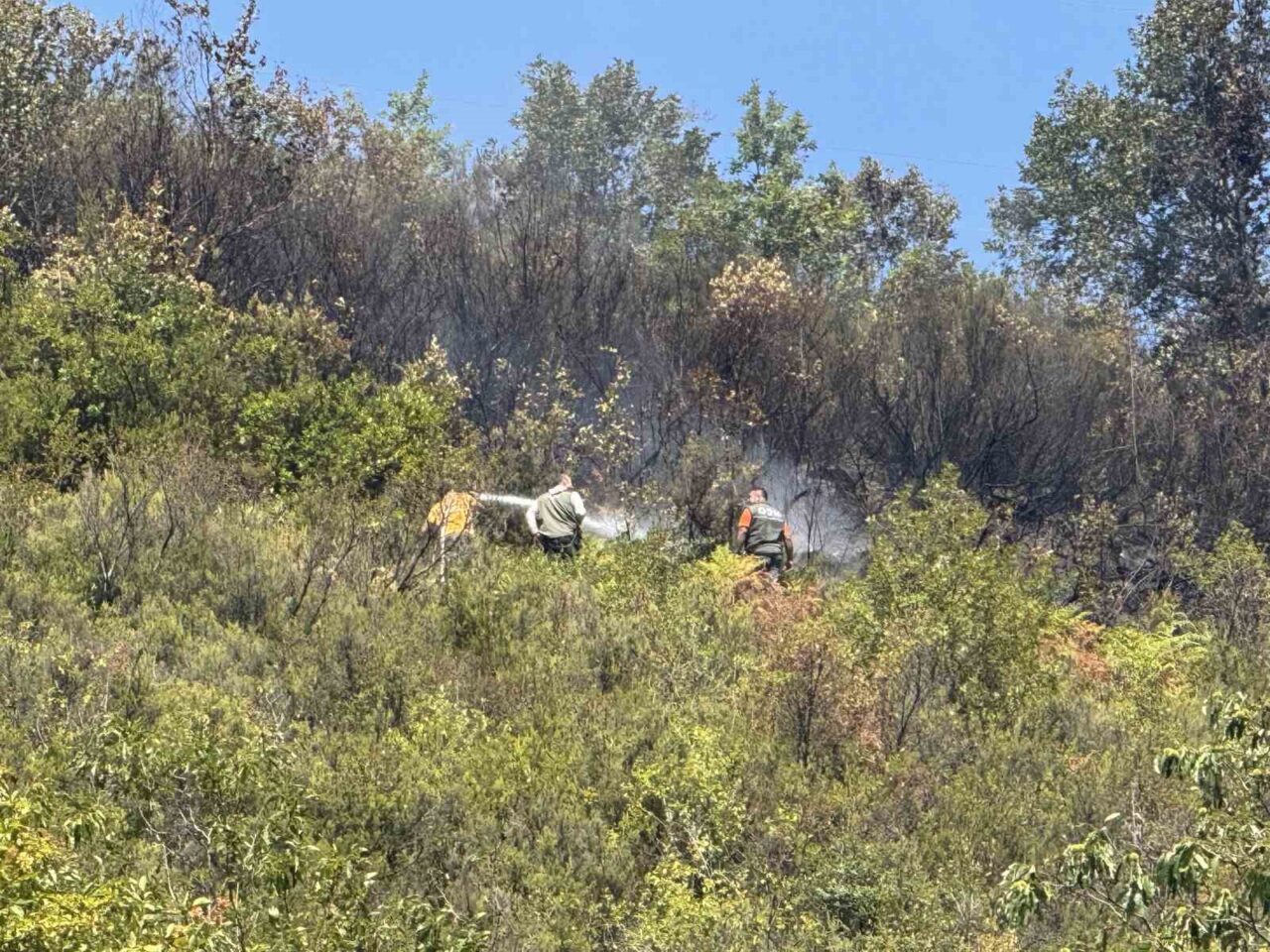 ZONGULDAK (İHA) – Zonguldak’ın Kardeşler köyünde ormanlık alanda çıkan yangın,