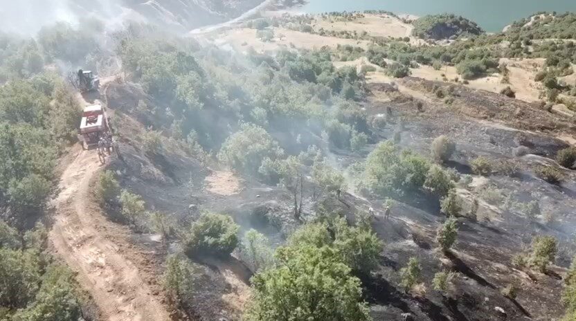 Elazığ’da ormanlık alanda çıkan yangın büyümeden ekiplerin müdahalesi ile kontrol