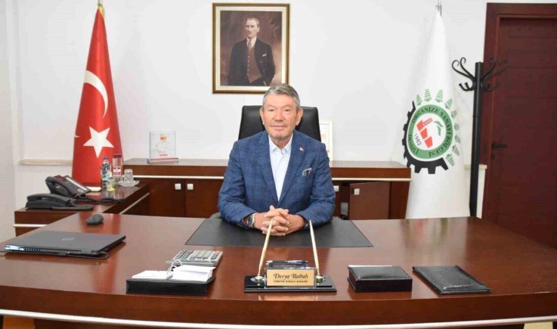 Denizli Organize Sanayi Bölgesi Yönetim Kurulu Başkanı Derya Baltalı, 30
