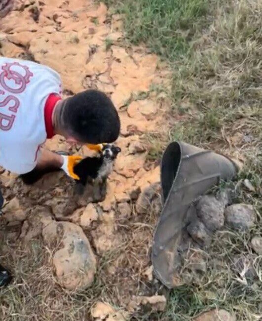 Osmaniye Organize Sanayi Bölgesi’nde atık su kuyusuna düşen 2 yavru