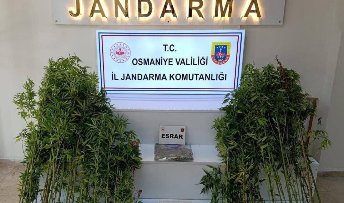 Osmaniye’de jandarma ekiplerince son bir haftada düzenlenen operasyonlarda 121 şüpheli