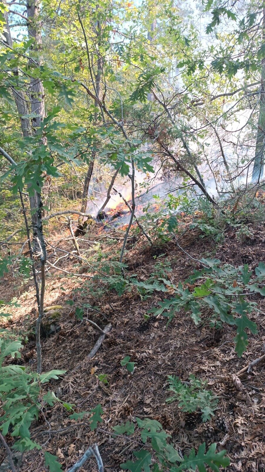 Osmaniye’de, Amanos Dağları eteklerinde çıkan orman yangını, ekiplerin havadan ve