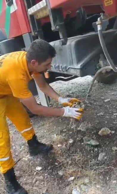Osmaniye’de Karaçay mesire alanının yanında bulunan ormanlık alanda çıkan yangın