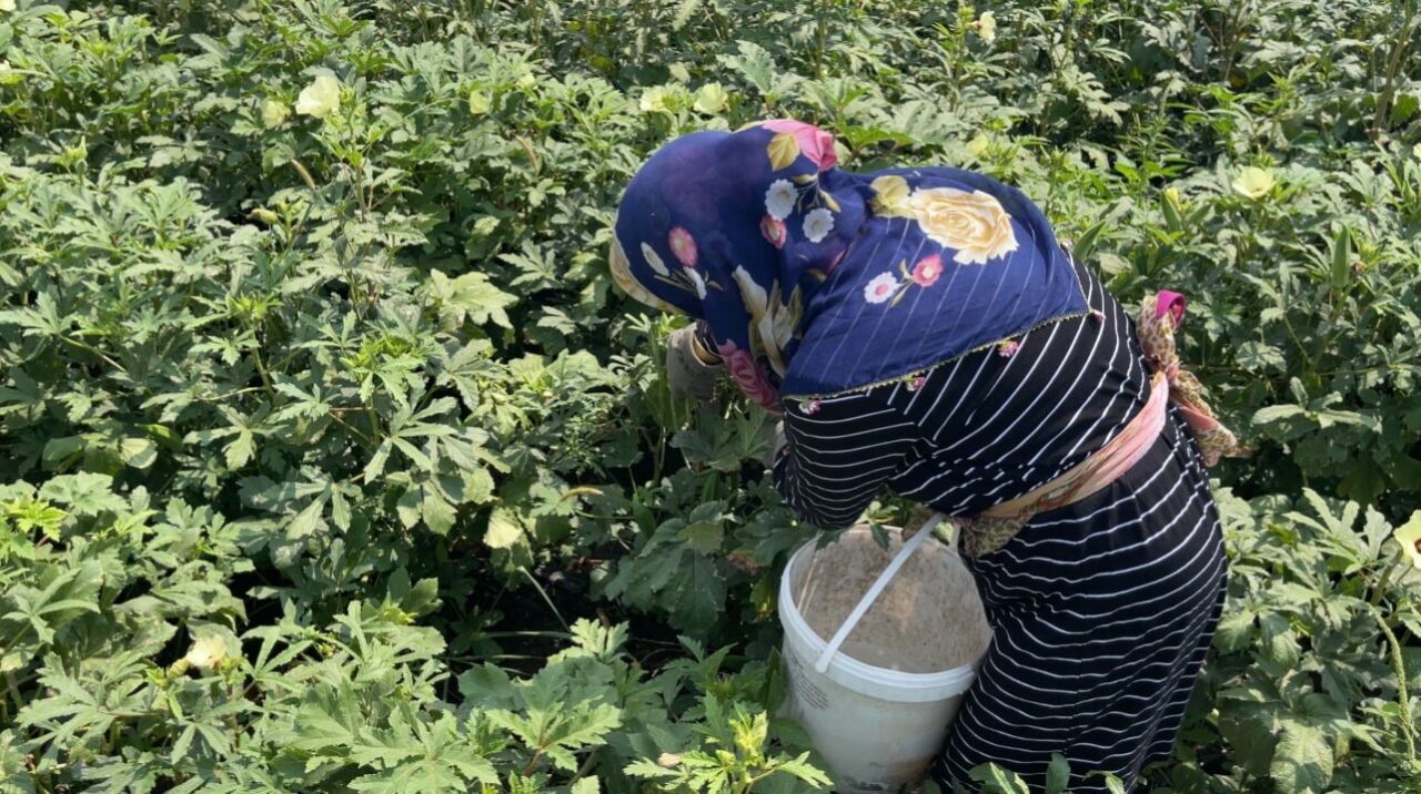Osmaniye’de, oluşturdukları koruma alanındaki hayvanların ihtiyaçlarını karşılamak amacıyla koruma alanının