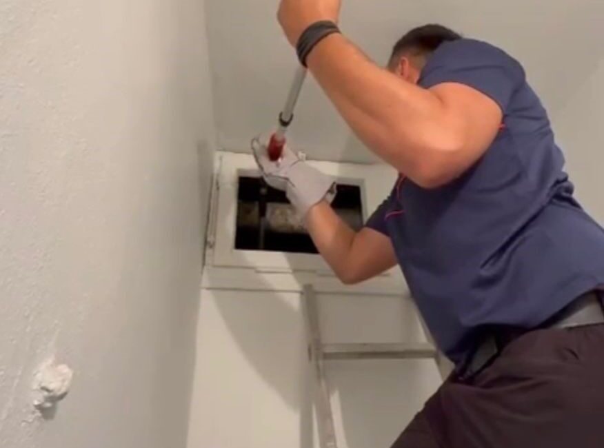 Osmaniye’de havalandırma boşluğuna düşerek mahsur kalan yavru kedi, itfaiye ekiplerince