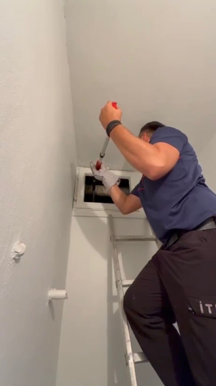 Osmaniye’de havalandırma boşluğuna düşerek mahsur kalan yavru kedi, itfaiye ekiplerince