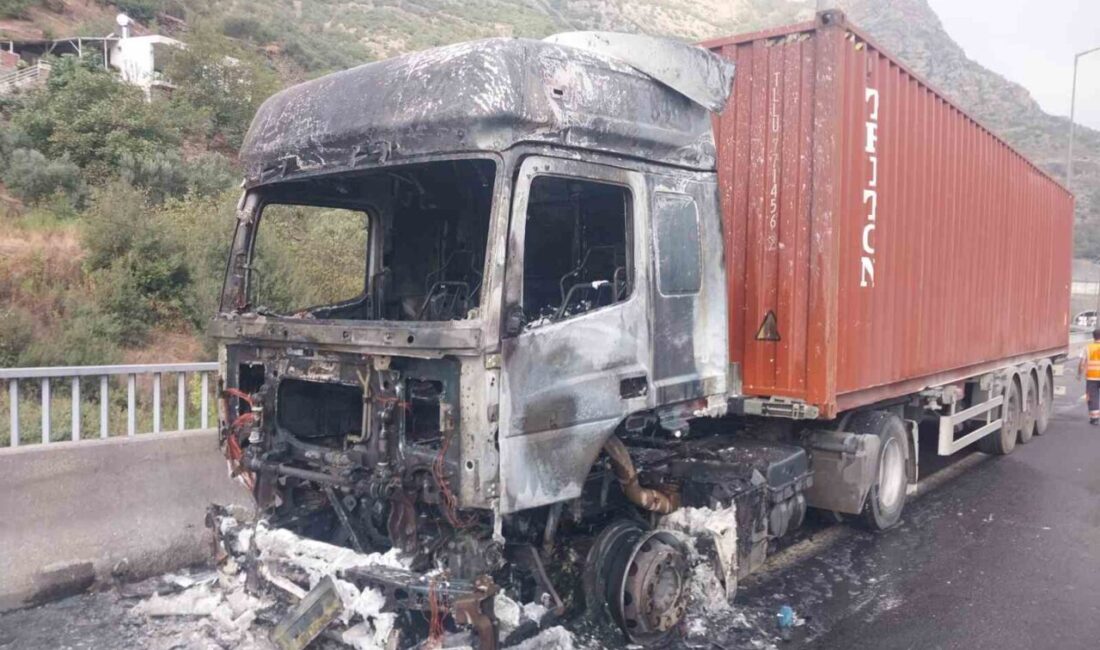 Osmaniye’nin Bahçe ilçesinde, seyir halindeyken alev alan tırda çıkan yangın,