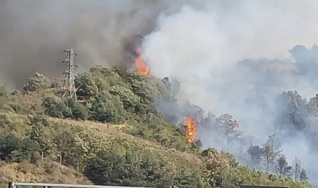 Osmaniye’nin Bahçe ilçesinde ormanlık alanda yangın başladı. Yangına ekipler karadan