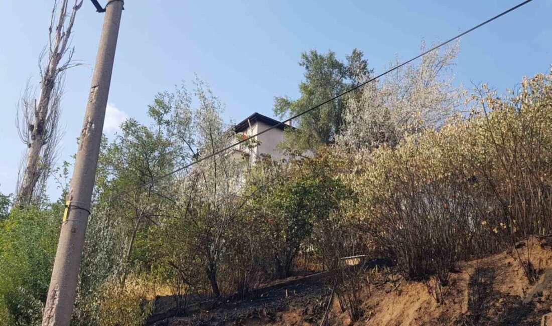 Karabük’te otluk alanda çıkan yangın evlere sıçramadan kontrol altına alarak