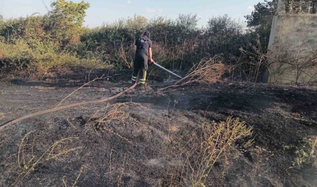 Tekirdağ’ın Muratlı ilçesinde Yeşilsırt Mahallesi’nde, yerleşim yeri girişinde otluk alanda