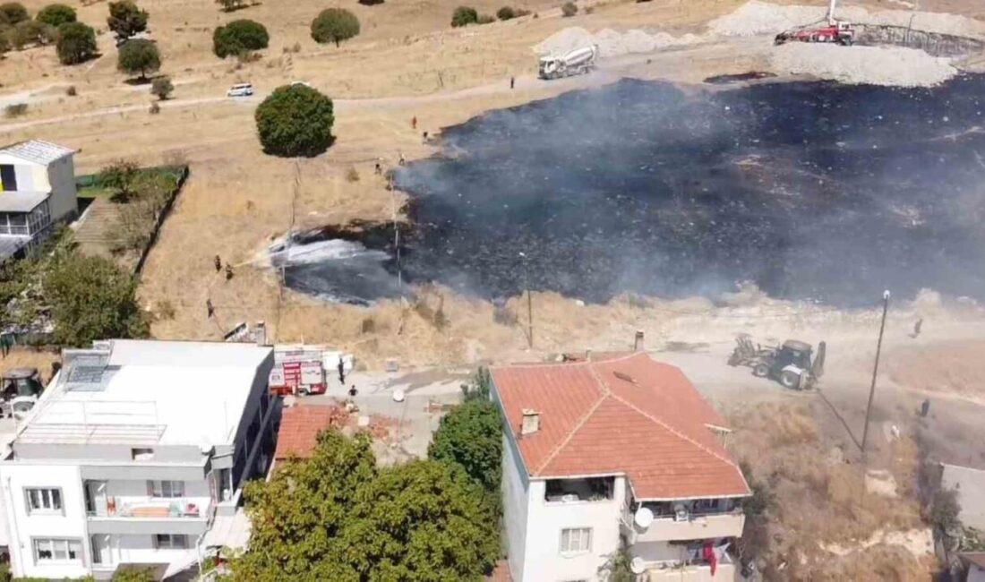 Balıkesir’de otluk alanda çıkan ot yangını kısa sürede kontrol altına