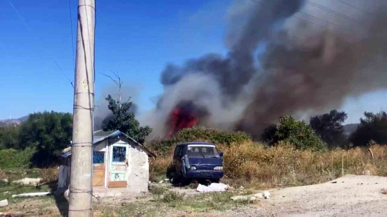 Sakarya’nın Geyve ilçesinde otluk ve ağaçlık alanda çıkarak paniğe sebep