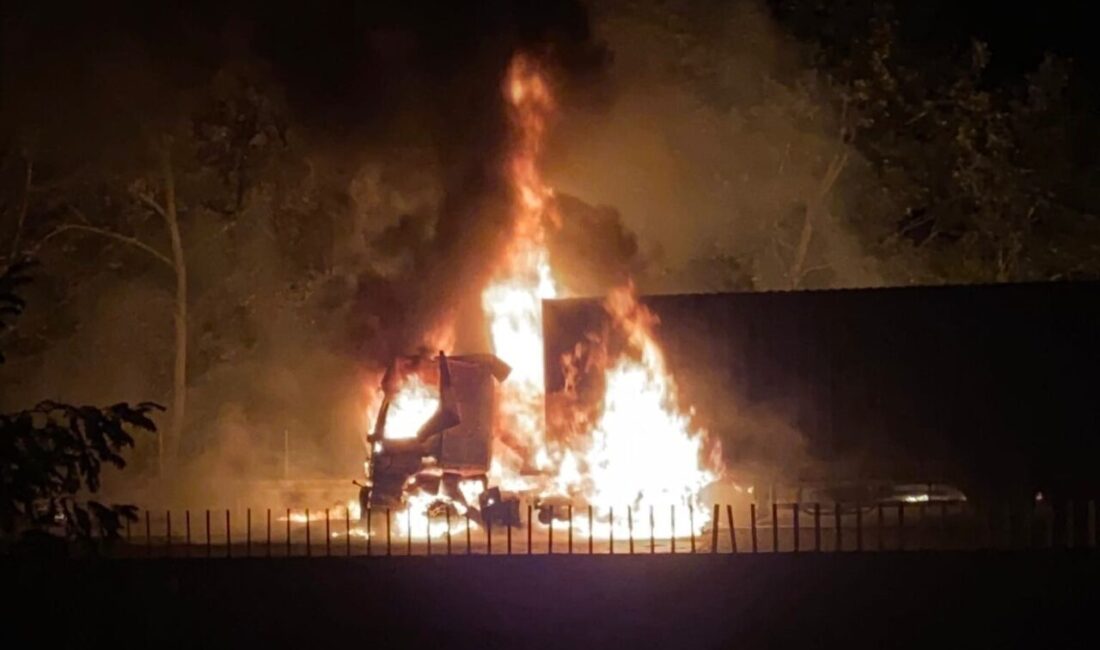 Adana’da otoyolda bir tırda çıkan yangın ormanlık alana sıçradı. Yangın