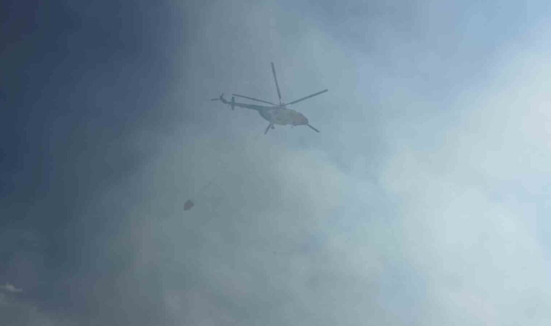 Adana’nın Pozantı ilçesinde otoyolda araçta çıkan yangın rüzgarın etkisiyle ormanlık