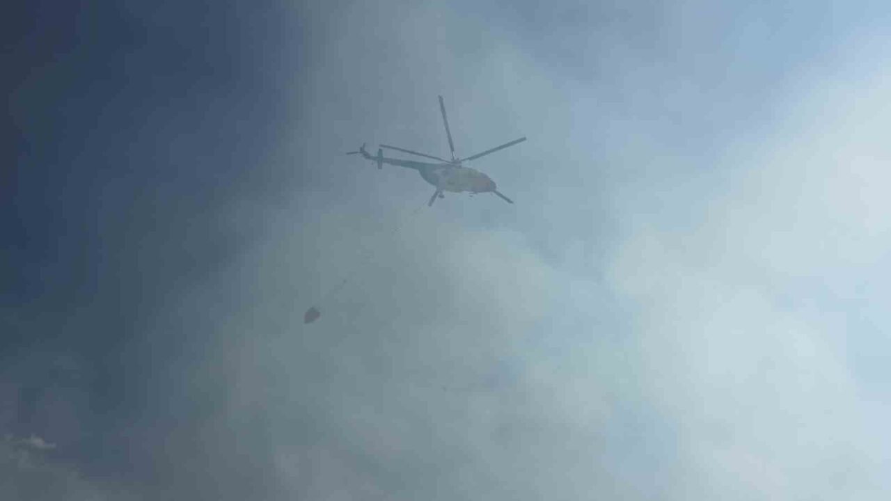 Adana’nın Pozantı ilçesinde otoyolda araçta çıkan yangın rüzgarın etkisiyle ormanlık