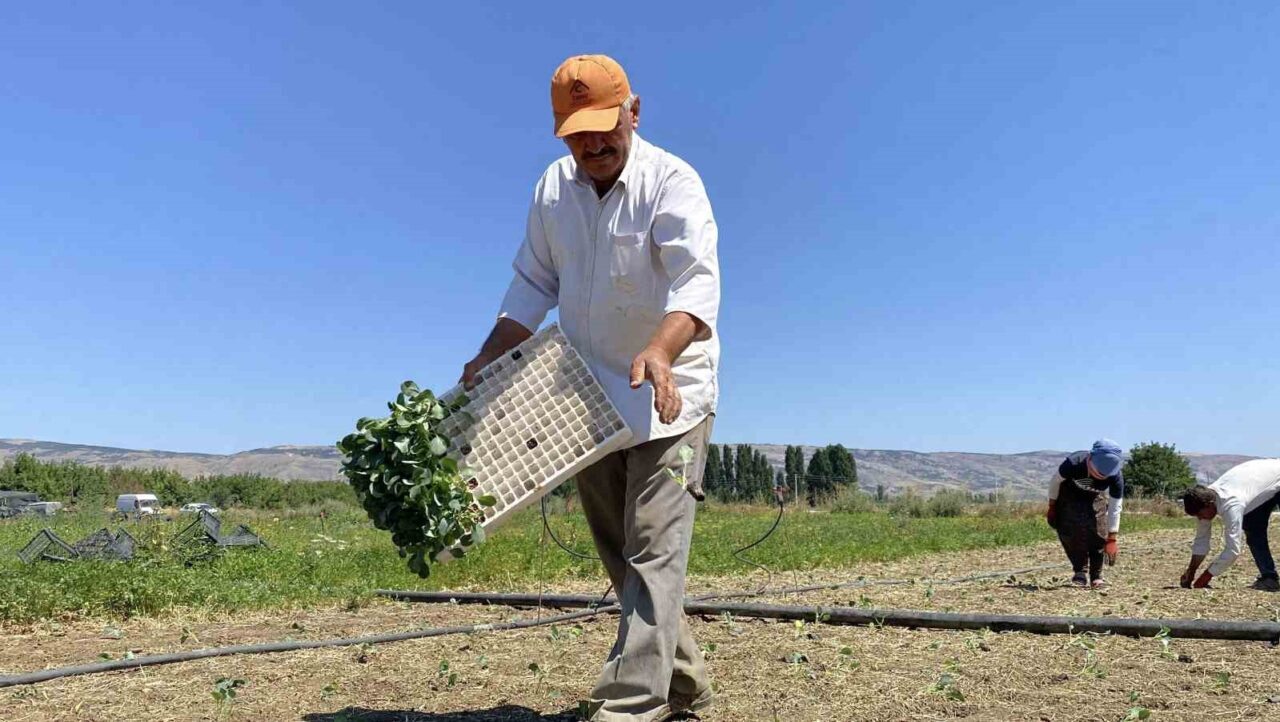 Eskişehir Yeşil Sakarya Yaş Sebze ve Meyve Üreticiler Birliği Başkanı