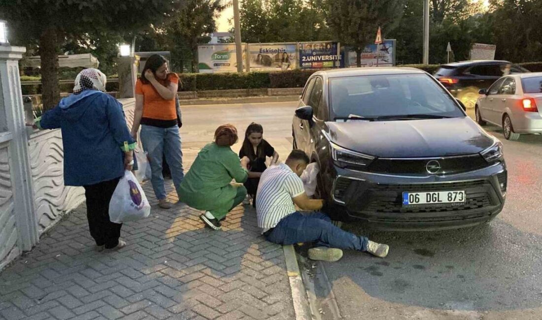 Eskişehir’de bir otomobilin kaput kısmında mahsur kalan kedi, mahallelinin 1