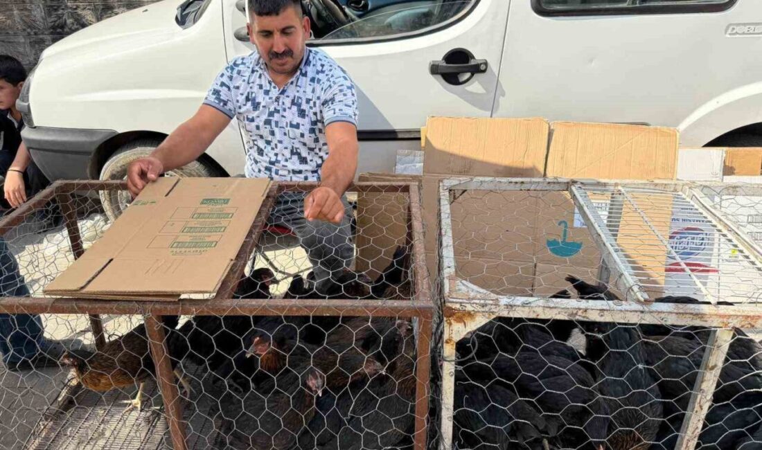 Tokat’ın Erbaa ilçesinde bir fabrikada çalışan işçi, paletlerin üzerinde dinlenen