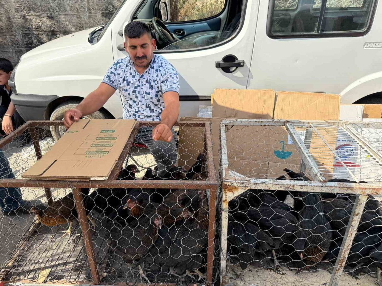 Tokat’ın Erbaa ilçesinde bir fabrikada çalışan işçi, paletlerin üzerinde dinlenen