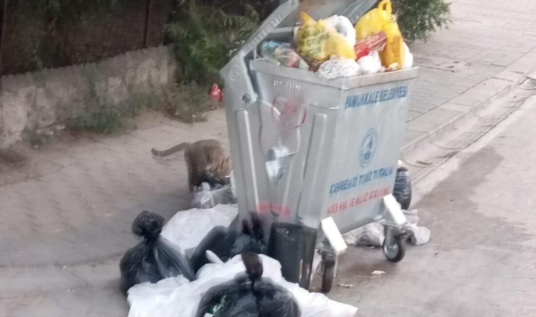 DENİZLİ (İHA) – Denizli’nin her yıl milyonlarda yerli ve yabancı