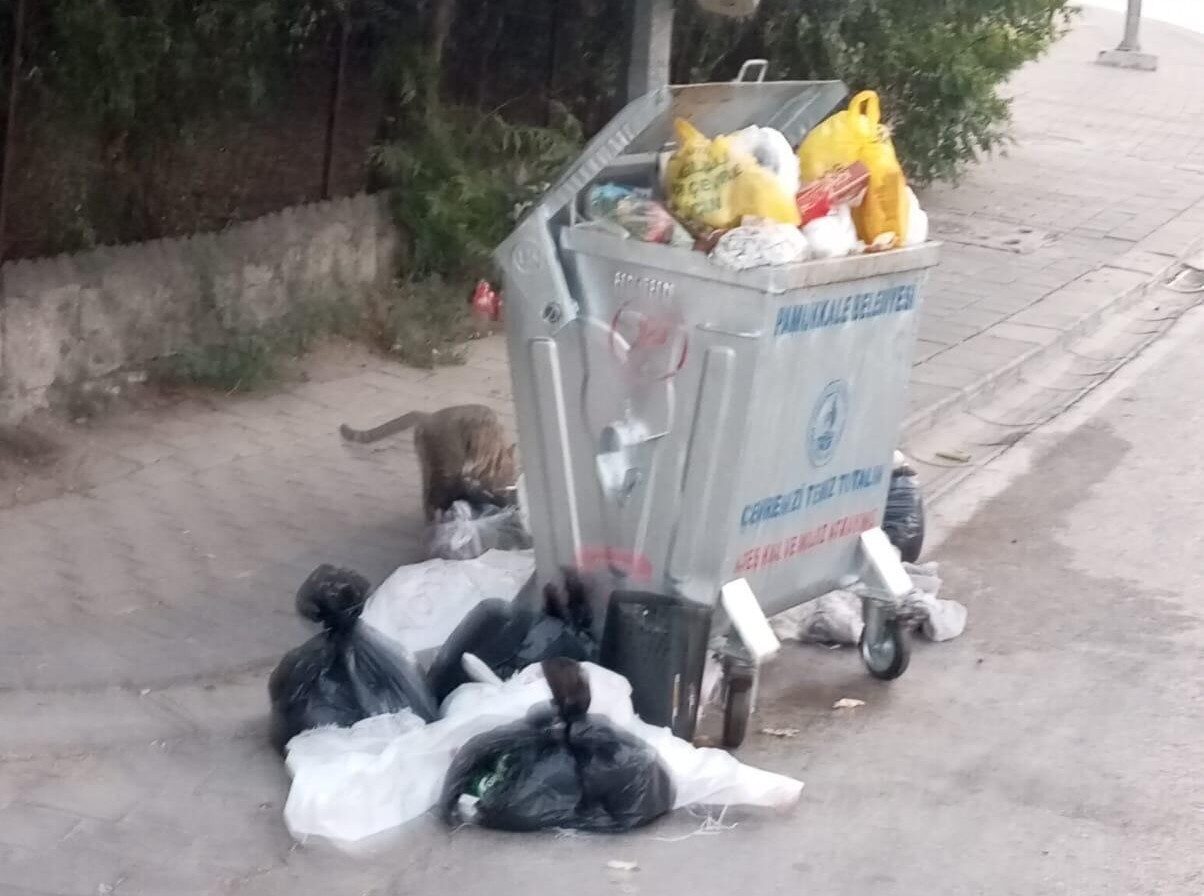 DENİZLİ (İHA) – Denizli’nin her yıl milyonlarda yerli ve yabancı