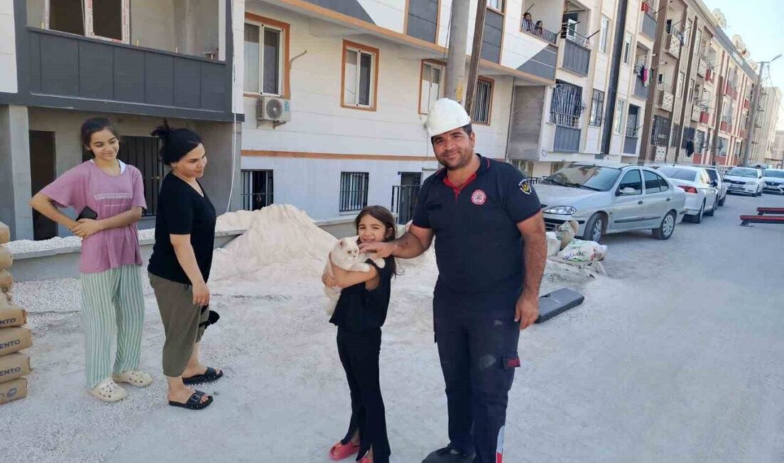 Şanlıurfa’da pencere kenarında mahsur kalan kedi, itfaiye ekipleri tarafından kurtarıldı.