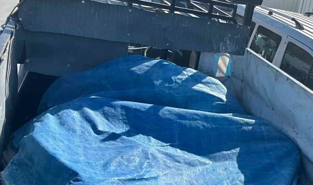 Hatay’da polis ekiplerince durdurulan pikap kasasında 14 göçmen yakalandı. İl