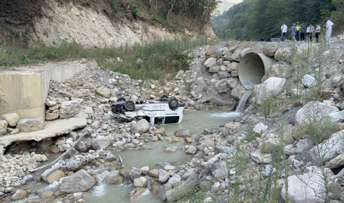 Düzce’de Samandere Şelalesi’ne pikniğe giden ailenin içinde bulunduğu hafif ticari