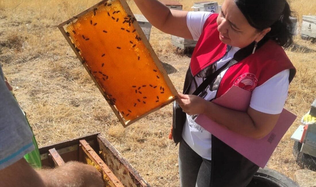 Kırklarili’nin Pınarhisar ilçesinde arılı kovan tespit çalışmaları devam ediyor. Pınarhisar