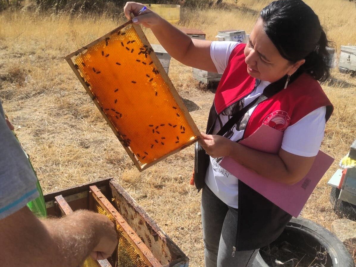 Kırklarili’nin Pınarhisar ilçesinde arılı kovan tespit çalışmaları devam ediyor. Pınarhisar