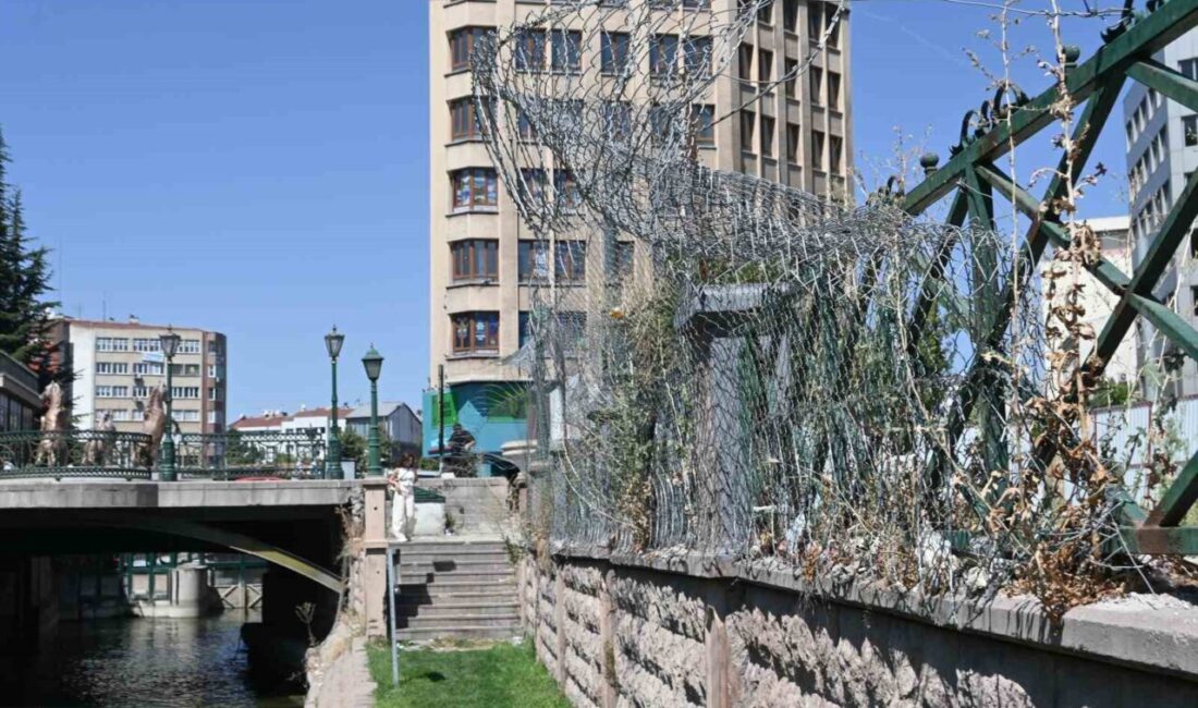 Eskişehir kent merkezinden geçen Porsuk Çayı kıyısına doğru sarkan dikenli