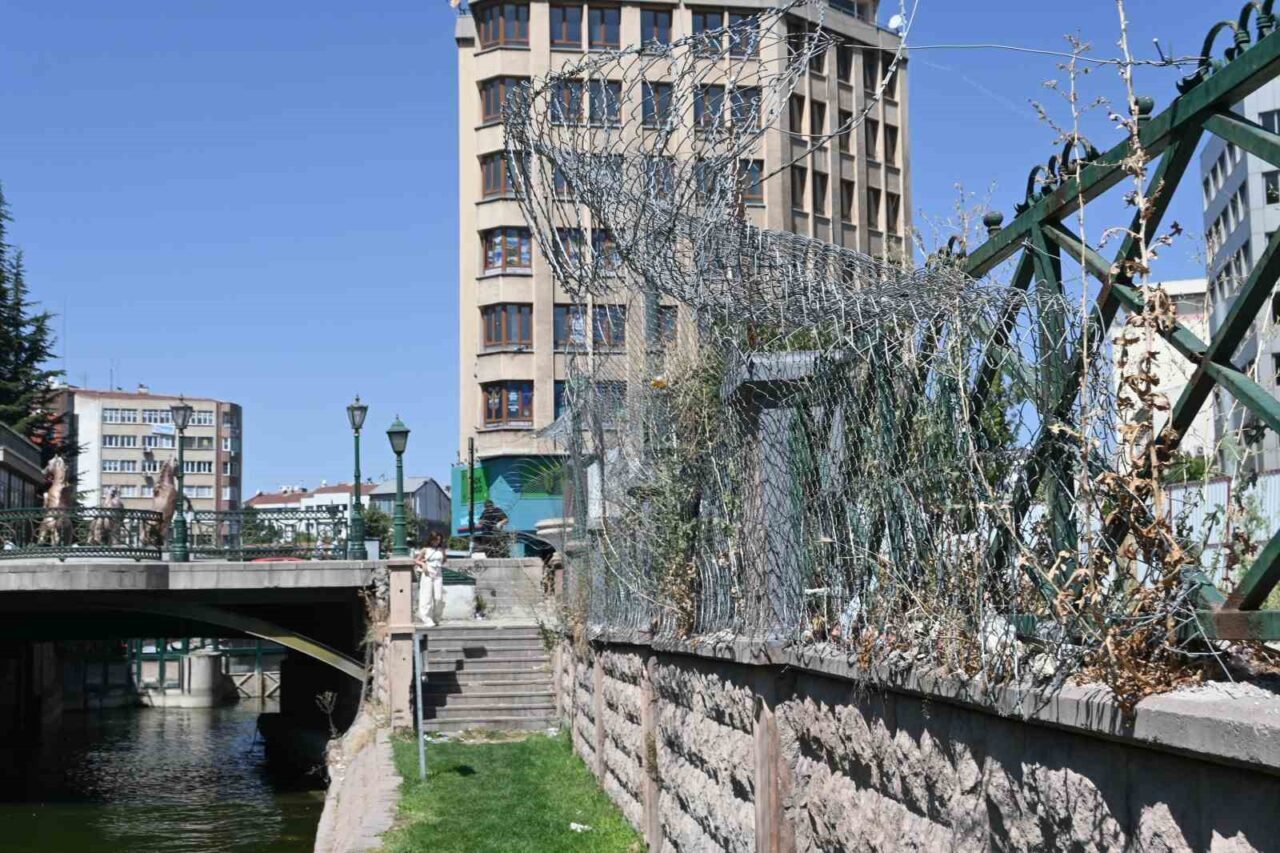 Eskişehir kent merkezinden geçen Porsuk Çayı kıyısına doğru sarkan dikenli