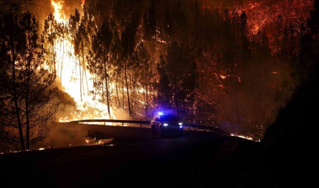Portekiz’de orman yangınlarıyla mücadele sırasında 1 kişinin hayatını kaybetmesiyle toplam