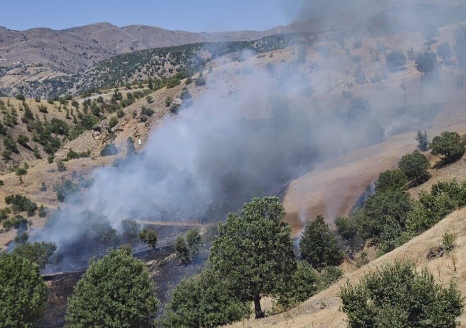 Malatya’nın Pütürge ilçesinde orman yangını çıktı. Geniş bir alanda etkili