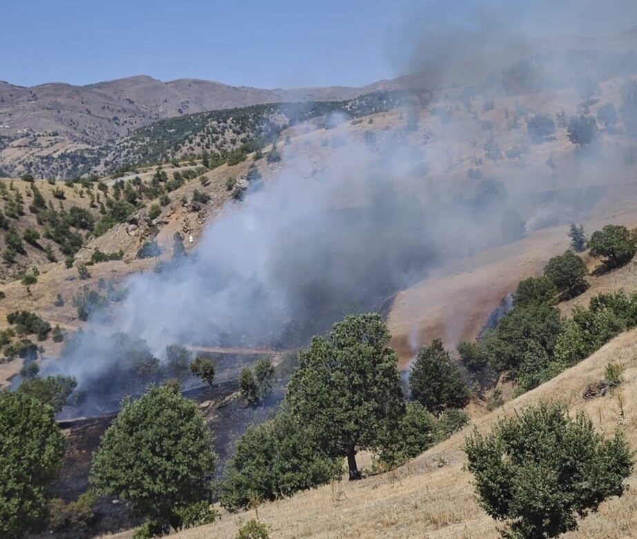 Malatya’nın Pütürge ilçesinde orman yangını çıktı. Geniş bir alanda etkili