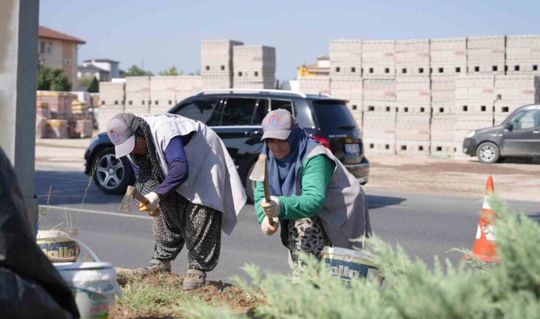 Düzce Belediyesi Park ve Bahçeler Müdürlüğü ekipleri şehrin ana arterlerinde