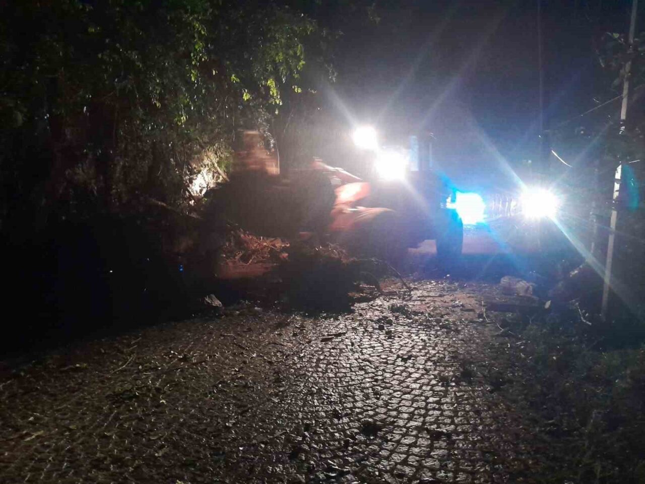 Rize’de yayla yolunda meydana gelen heyelan nedeniyle yol ulaşıma kapandı.