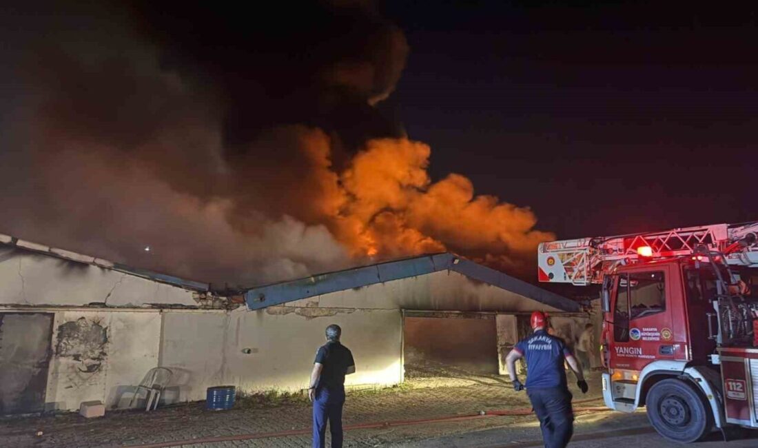 Sakarya’nın Geyve ilçesindeki bir boya fabrikasında yangın çıktı. Edinilen bilgiye