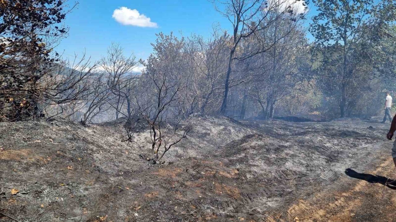 Sakarya’nın Hendek ilçesinde ormanlık alanda çıkan yangın, itfaiye ve orman