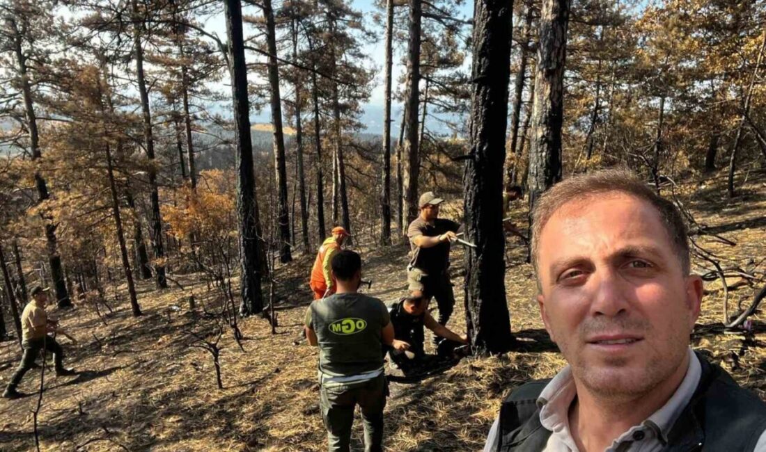 Sakarya’nın Geyve ilçesinde geçtiğimiz haftalarda meydana gelen orman yangınlarının ardından,