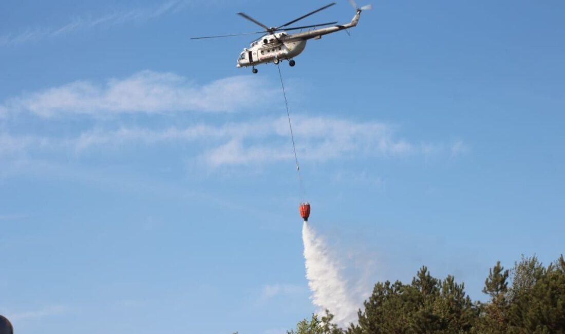 Sakarya’nın Akyazı ilçesinde ormanlık alanda çıkan, havadan ve karadan müdahale