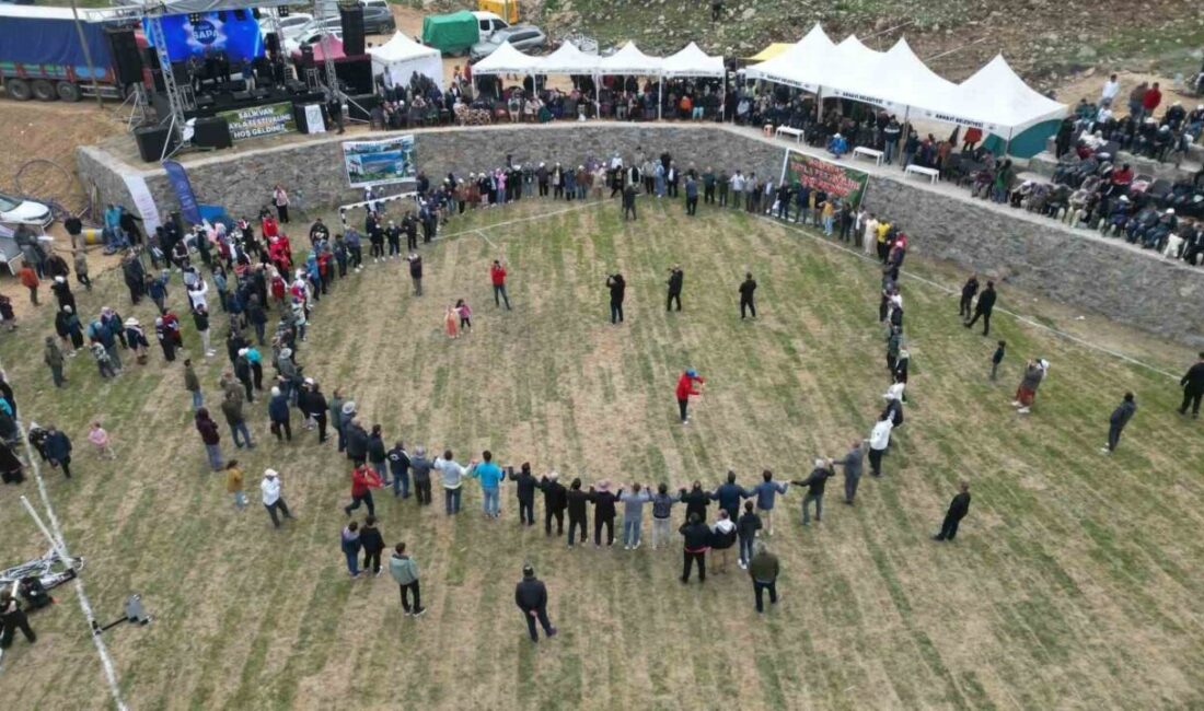 Artvin’e bağlı Yusufeli ilçesi Yüksekoba Köyü Yaylası’nda 2 bin 600