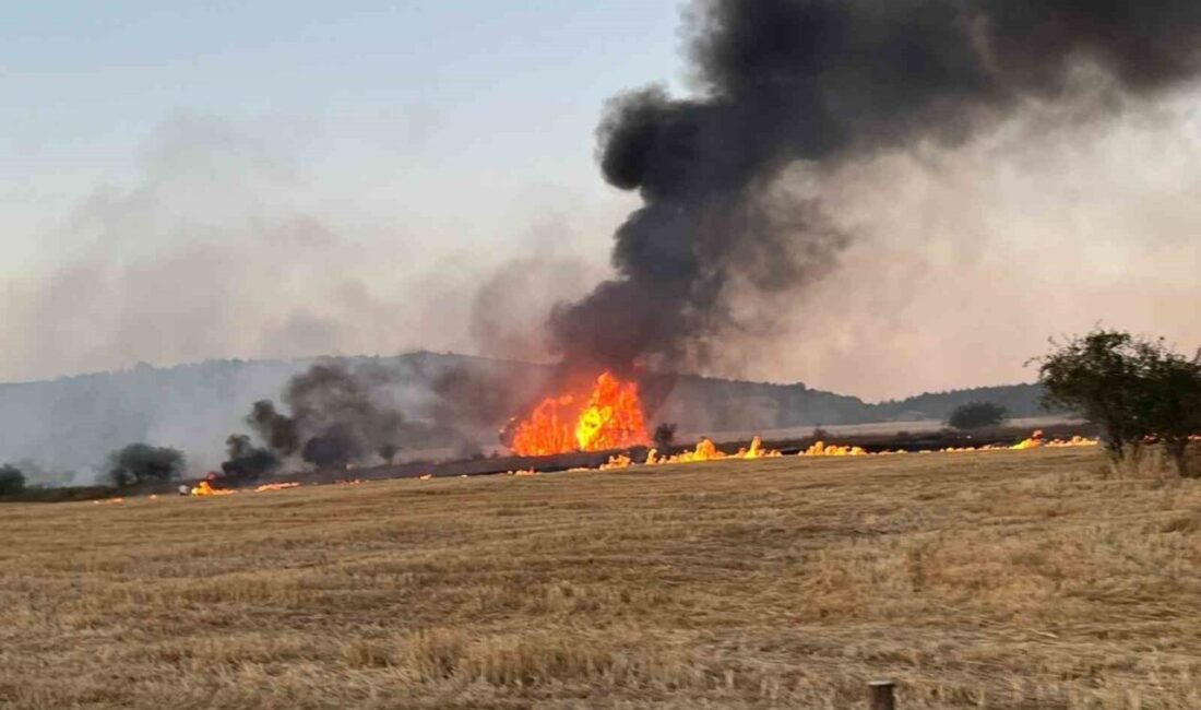 Kastamonu’nun Seydiler ilçesinde saman yüklü kamyonda çıkan yangın ekipler tarafından