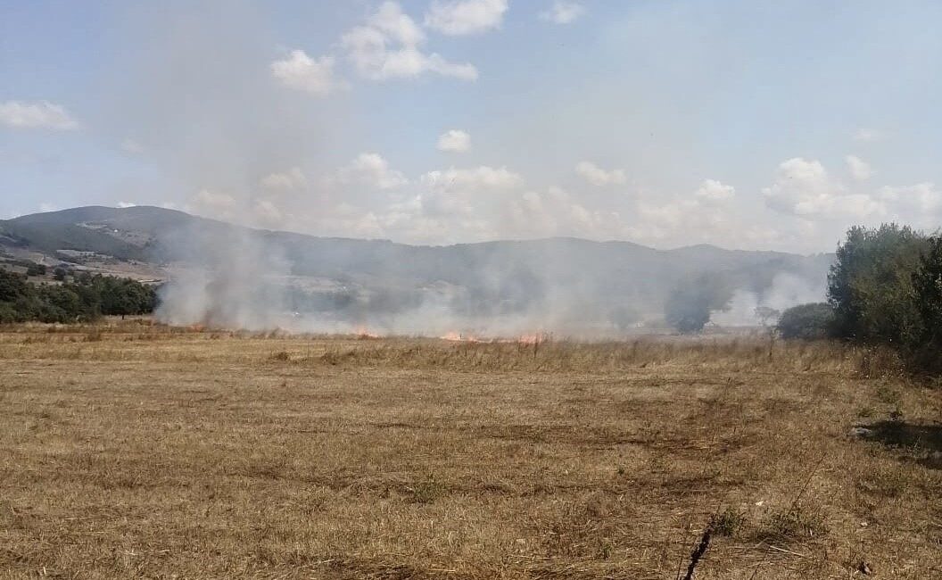 Samsun’un Kavak ilçesinde çıkan anız yangını, ormanlık alana sıçramadan söndürüldü.
