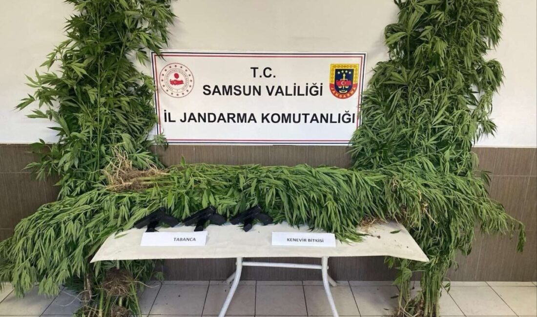 Samsun’da jandarma ekipleri tarafından düzenlenen üç ayrı silah ve uyuşturucu